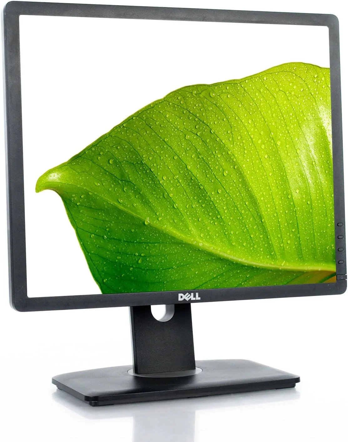 DELL Professional P1913S 19.0-Inch Screen LED-lit Monitor - Image 2